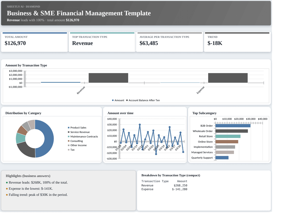 Preview of the Business & SME Financial Management Template template