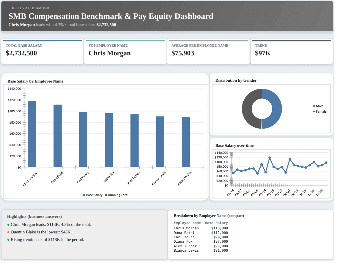 Preview of the SMB Compensation Benchmark & Pay Equity Dashboard template